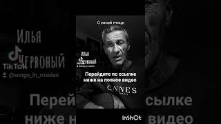 О синей птице.