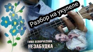 ТИМА БЕЛОРУССКИХ - НЕЗАБУДКА  РАЗБОР НА УКУЛЕЛЕ