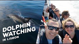 Ocean Dolphin Watching Tour in Lisbon  Lisboa