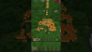 Minecraft Orman Yangını Çıkartan Bomba 
