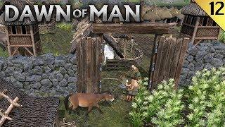 DAWN OF MAN #12  Y EL FINAL  Gameplay Español