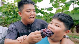 Experience the fresh grape vineyards in Northern Vietnam - Eating fish dishes in Bac Giang  SAPA TV