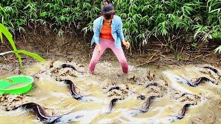 Using a pump to suck water out of the deep pool the girl caught many big fish and sold them.