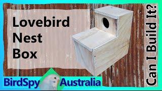 Lovebird Nest Box  Can I Build It? Episode 05  BirdSpyAus