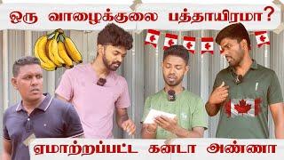 யாழில் வாழைக்குலை பத்தாயிரமா?  Canada Mama  Sri Lanka Tamil Comedy  Pakidiya Kathaippam 2024