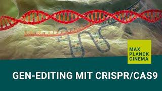 Gen-editing mit CRISPRCas9 english subtitles