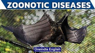 Know All About Zoonotic Diseases  Risk of Serious illness  Oneindia English