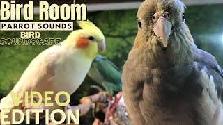 Bird Room Buddies  Happy Parrot Sounds  HD Parrot TV VIDEO EDITION  3+ Hours  Bird Room TV