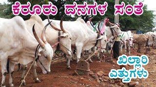 Kerur Bulls Market  Ox market