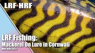 LRF Fishing Mackerel on Lures & More in Cornwall