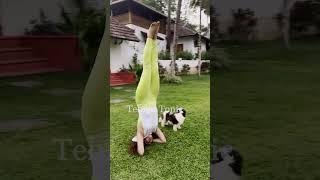 Keerthy Suresh Yoga The beauty of seeing the world upside down #peaceofmind #Shorts