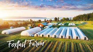 STUNNING Organic Vegetable & Flower Farm on an ISLAND