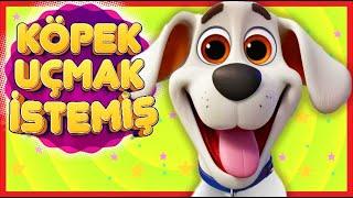 Köpek Uçmak İstemiş Çocuk Şarkısı  Anaokulu Şarkıları  Bebek Şarkıları  Çizgi Film  Tele Domi