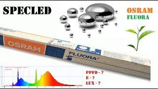 Osram Fluora 36W. Spectrum PAR PPFD. Fluorescent lamp for plants 120cm.