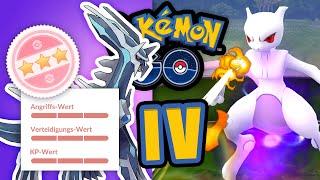 Das ultimative IV-Video Darum sind IV unwichtig  Pokémon GO Deutsch #1566