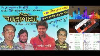 TUMER KOPALOT  ASSAMESE SONG