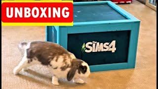 Unboxing a huge box from The Sims 4 to Bini the Bunny