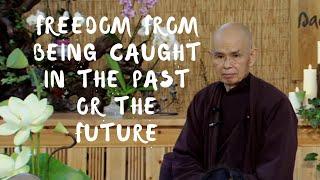 Freedom from Being Caught in the Past or the Future  Dharma talk by Thich Nhat Hanh 2014.07.26