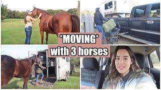 MOVING ON MY OWN WITH 3 HORSES PT.2