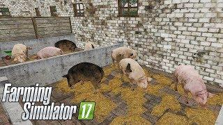 FS17 STAPPENBACH #12 - ALLEVIAMO LE SCROFE - GAMEPLAY ITA