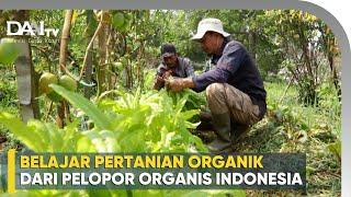 Ini Dia Pelopor Pertanian Organik di Indonesia Sejak 1984 - Agatho Farm