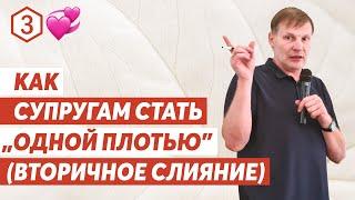 Вторичное слияние. Как супругам стать одной плотью. Сергей Лагуткин 16