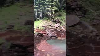 Virginia Falls - Glacier National Park