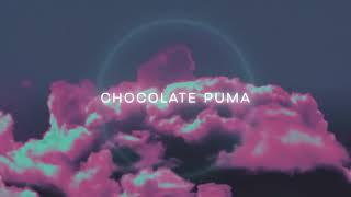 Chocolate Puma - Beyond The Sky