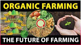 Importance of Organic Farming  What is Organic Farming  Sustainable Agriculture