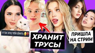 Даня хранит трусы Юли  Что с котом Вали?  Амина пришла на стрим Акулич