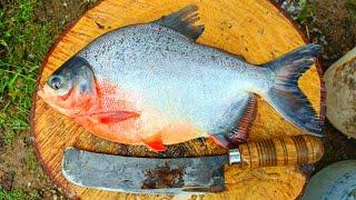 1KG Live LAKE FISH CUTTING  Red Pomfret Fish in Home Style Cutting  150 Per KG  CT 360*