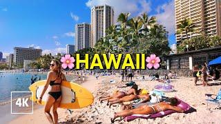 Waikiki Beach Walk - Spring Break in Honolulu Hawaii