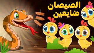 أغنية الصيصان ضايعين  اغاني اطفال دووديز  Doodies