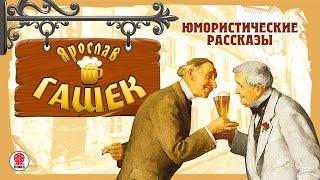 ЯРОСЛАВ ГАШЕК «ЮМОРИCТИЧЕСКИЕ РАССКАЗЫ». Аудиокнига. Читают Александр Клюквин Александр Котов