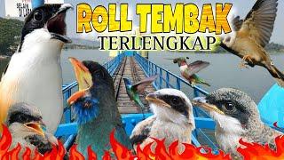 MASTERAN CENDET ROLL TEMBAK  FULL TEMBAKAN KEKINIAN TERLENGKAP