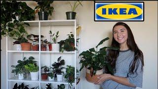 Ikea Plant Display Shelf Set Up + Small Collection Tour