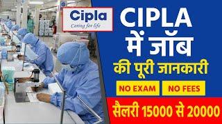 Cipla recruitment 2022  B Pharma Job Baddi Himachal Job  job vacancy 2022