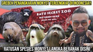 GREBEK PENANGKARAN MONYET TERLENGKAP DI INDONESIA RATUSAN SPESIES MONYET LANGKA BERANAK DISINI