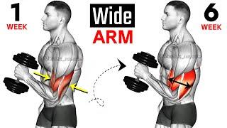 Full Arms Exercises with Dumbbells  Biceps and Triceps  