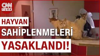 159 Kedi 7 Köpeği Aç Bırakan Çifte Hapis Cezası  CNN TÜRK