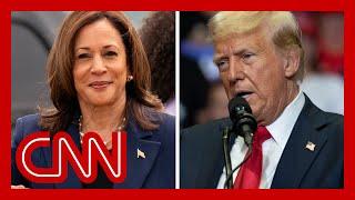 Trump campaign ‘completely freaked out’ by Harris candidacy says former GOP strategist