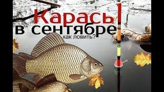 Как и на что ловить карася в сентябре?