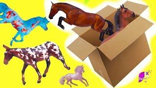 Box of New Horses  Traditional Club Freedom Series  Breyer Horse Haul Video