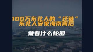 100万东北人的“迁徙”，东北人安家海南背后，藏着什么秘密？