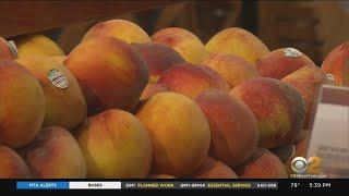 Possible Salmonella Outbreak Linked To Wawona Peaches