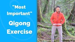 Most Important Qigong Exercise for Beginners