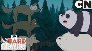 Bears VS Wolves  We Bare Bears Mega Compilation  Cartoon Network  Cartoons for Kids