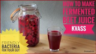 How to make fermented beet kvass friendly bacteria for your gut