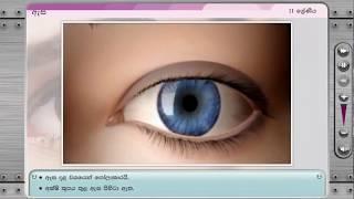 Human Eye - Sinhala Medium Science