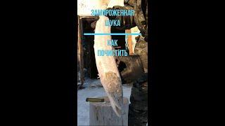 Как почистить щуку зимой. How to remove scales from a frozen pike. #жизньнасевере #камчатка #рыбалка